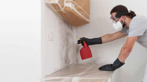 Professional Commercial Mold Remediation technician working in Bokeelia, FL